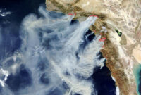 How Did the SoCal Fires Start? (Official Answer)