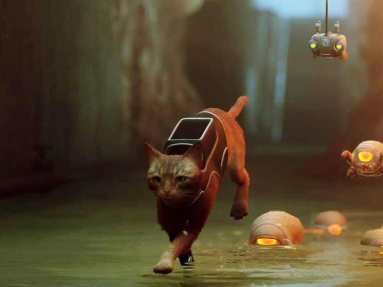 What Platforms Is Stray Available On?