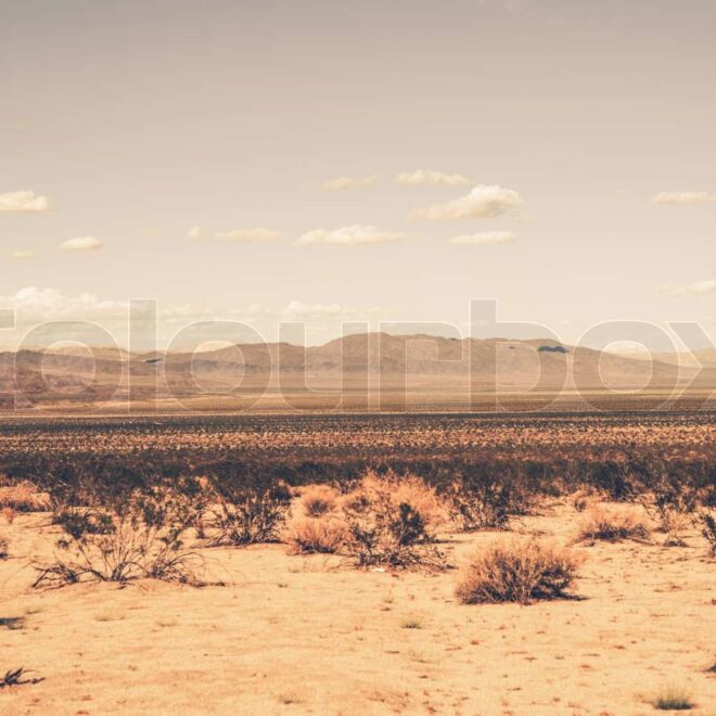 Is Southern California a Desert? Geography Explained