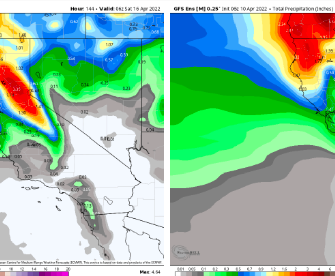 Where to See Snow in Southern California Right Now
