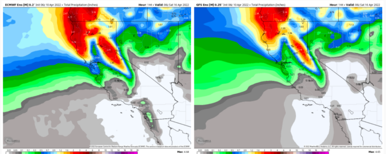 Where to See Snow in Southern California Right Now