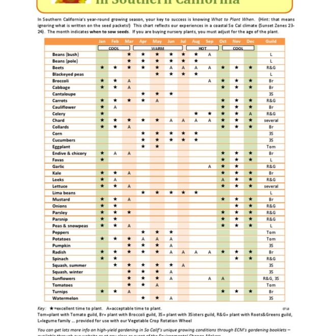 When to Plant Tomatoes Garlic & Potatoes in Southern California