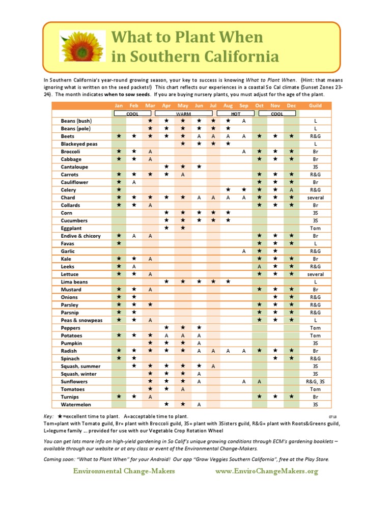 When to Plant Tomatoes Garlic & Potatoes in Southern California