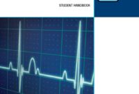 What Is a Healthcare Provider CPR Class? (Full Guide)