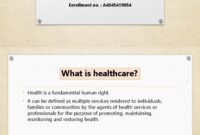 Is Healthcare Provided by State or Federal Government?