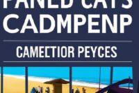 Where Can Families Stay When Visiting Camp Pendleton?