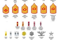What Is the Highest Rank in the Marine Corps?