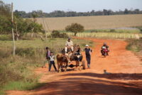 Does Paraguay Provide Free Healthcare?