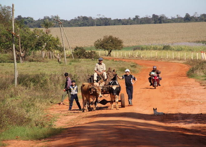 Does Paraguay Provide Free Healthcare?