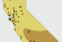 Brown Recluse in SoCal? Truth Will Shock You