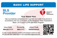 How Much Does CPR or BLS Certification Cost for Providers?