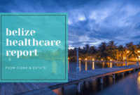 Is Healthcare Provided in Countries Like Syria or Belize?