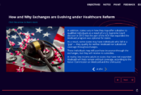Is Marketplace Healthcare Government or Employer Provided?