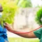Does Free Healthcare Reduce Homelessness?