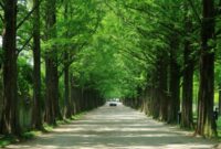 What Climate Zone Is Southern California?