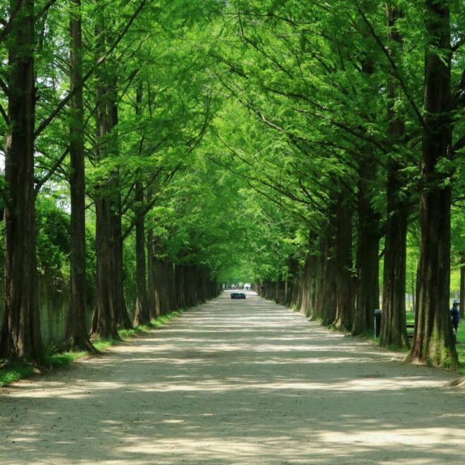 What Climate Zone Is Southern California?