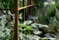 What Climate Zone Is Southern California? Full Guide