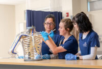 What Training Do Healthcare Providers Need to Start?