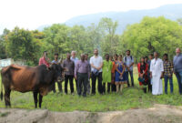 How Governments Deliver Healthcare to Rural Communities