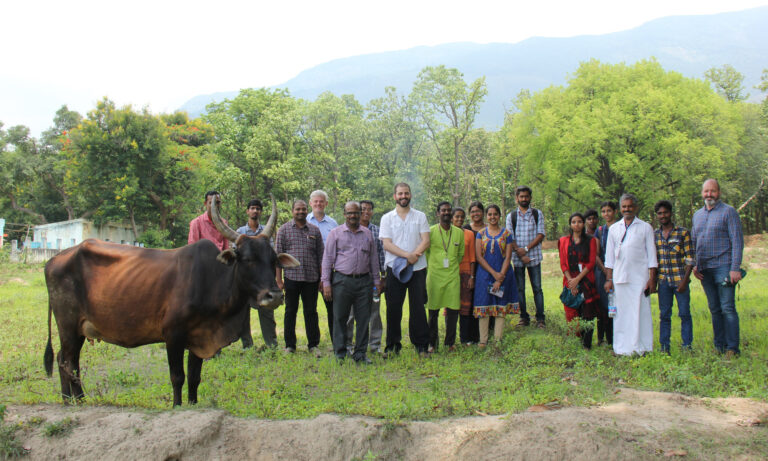 How Governments Deliver Healthcare to Rural Communities