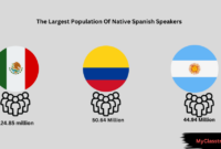 How Many Spanish-Speaking Providers Are in California?