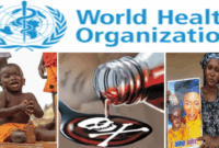 Where Does the UN Say Healthcare Should Be Provided?