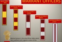 What Is a Warrant Officer or NCO in the Marine Corps?