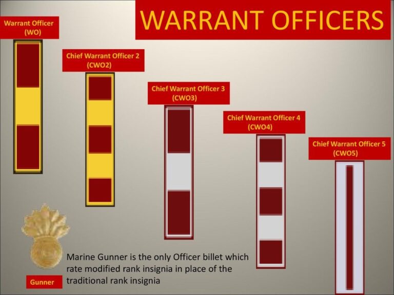What Is a Warrant Officer or NCO in the Marine Corps?