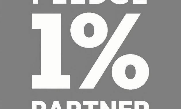 What Does Corporate Social Investment Mean