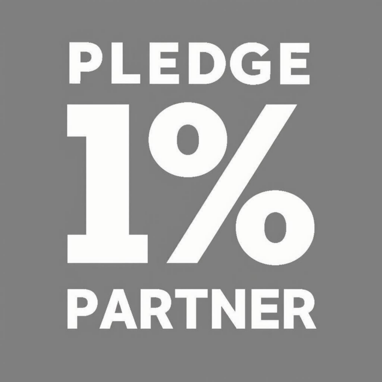 What Does Corporate Social Investment Mean