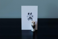 What Do I Do with My Dead Dog? Compassionate Next Steps Explained