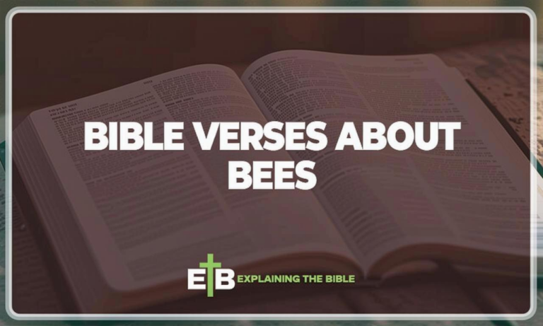 What Do Bees Mean In The Bible