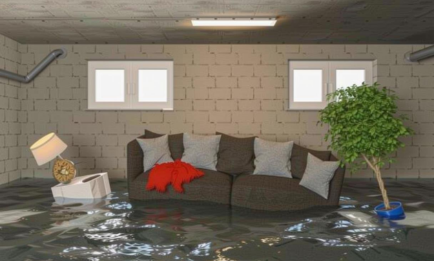 What Does Water Restoration Mean