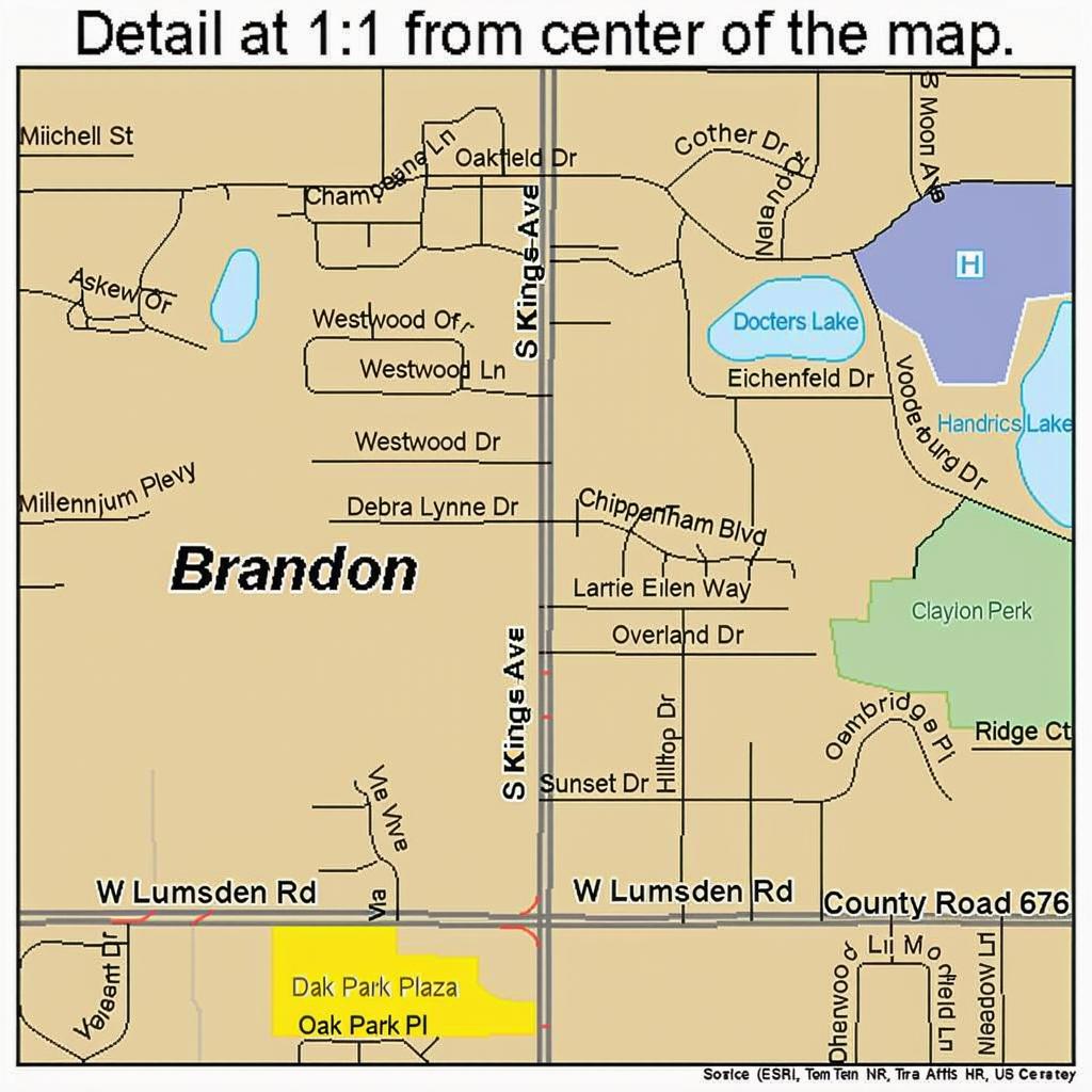 Brandon Florida Street Map