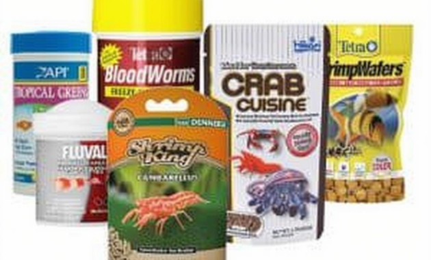 What Do Crayfish Eat? Aquarium and Wild Feeding Guide