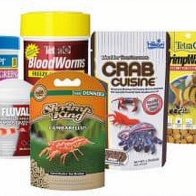 What Do Crayfish Eat? Aquarium and Wild Feeding Guide