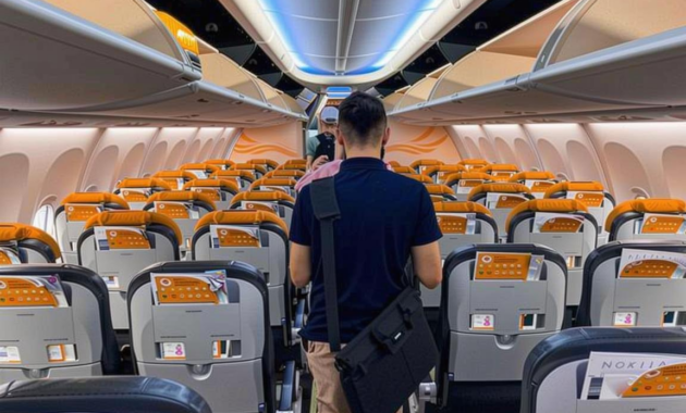 What Does Self Transfer Mean On A Flight