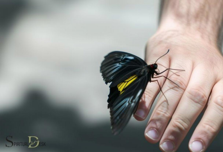 What Does It Mean When a Butterfly Lands on You? Spiritual Meaning