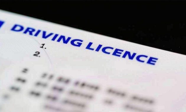 What Is Extended Licence In The U. Uk Mean