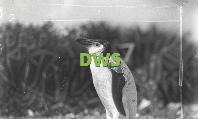 What Does DWS Mean in Text? Slang Meaning and Usage Guide