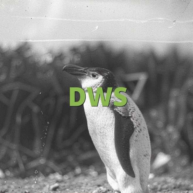 What Does DWS Mean in Text? Slang Meaning and Usage Guide