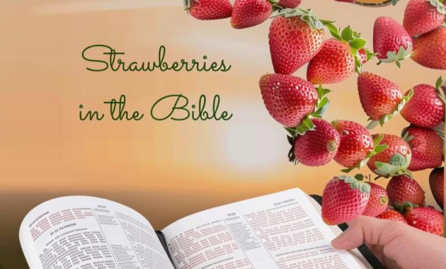 What Do Strawberries Represent? Love Purity and Prosperity Symbolism