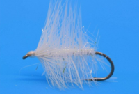 What Does A White Wooly Worm Mean