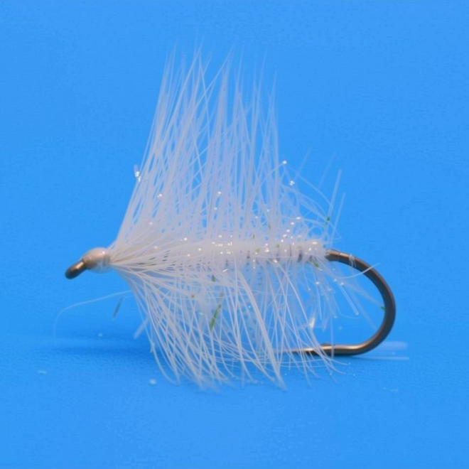 What Does A White Wooly Worm Mean