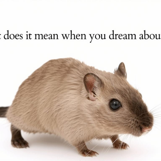 What Does It Mean When You Dream About Rats