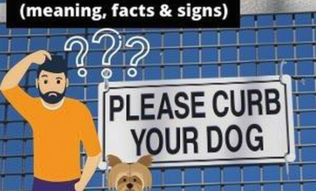 What Does It Mean To Curb Your Dog