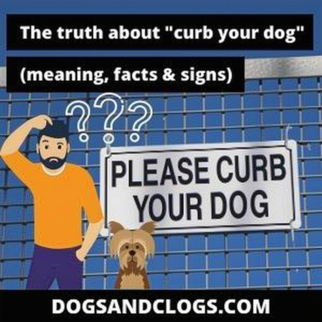 What Does It Mean To Curb Your Dog