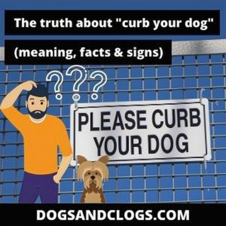 What Does It Mean To Curb Your Dog