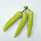 What Do Banana Peppers Taste Like? Heat Level and Flavor Guide