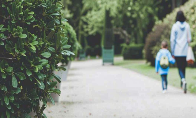 What Does A Non Custodial Parent Mean